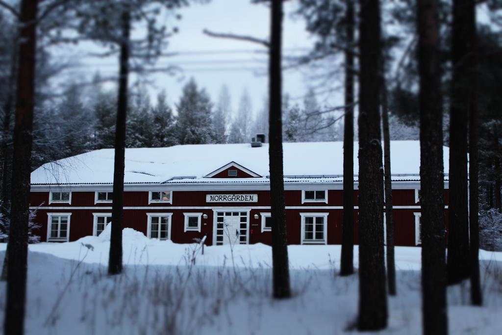 Svanstein Lodge Екстер'єр фото