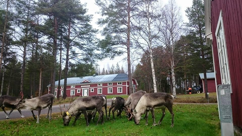 Svanstein Lodge Екстер'єр фото